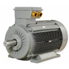 GM2E 315 M 6a 90 kW 6kutup-1000 d-dk Gamak Trifaze Asenkron Elektrik motoru