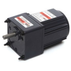 E8I25PLT-120 1 Faz 220 V AC 25 W 120 Devir Redüktörlü Excem Motor