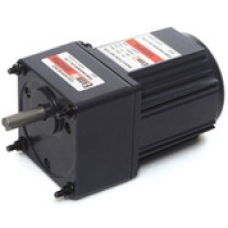 E8I25PXL 1 x 220 V 25 W ExceM redüktörlü AC Motor